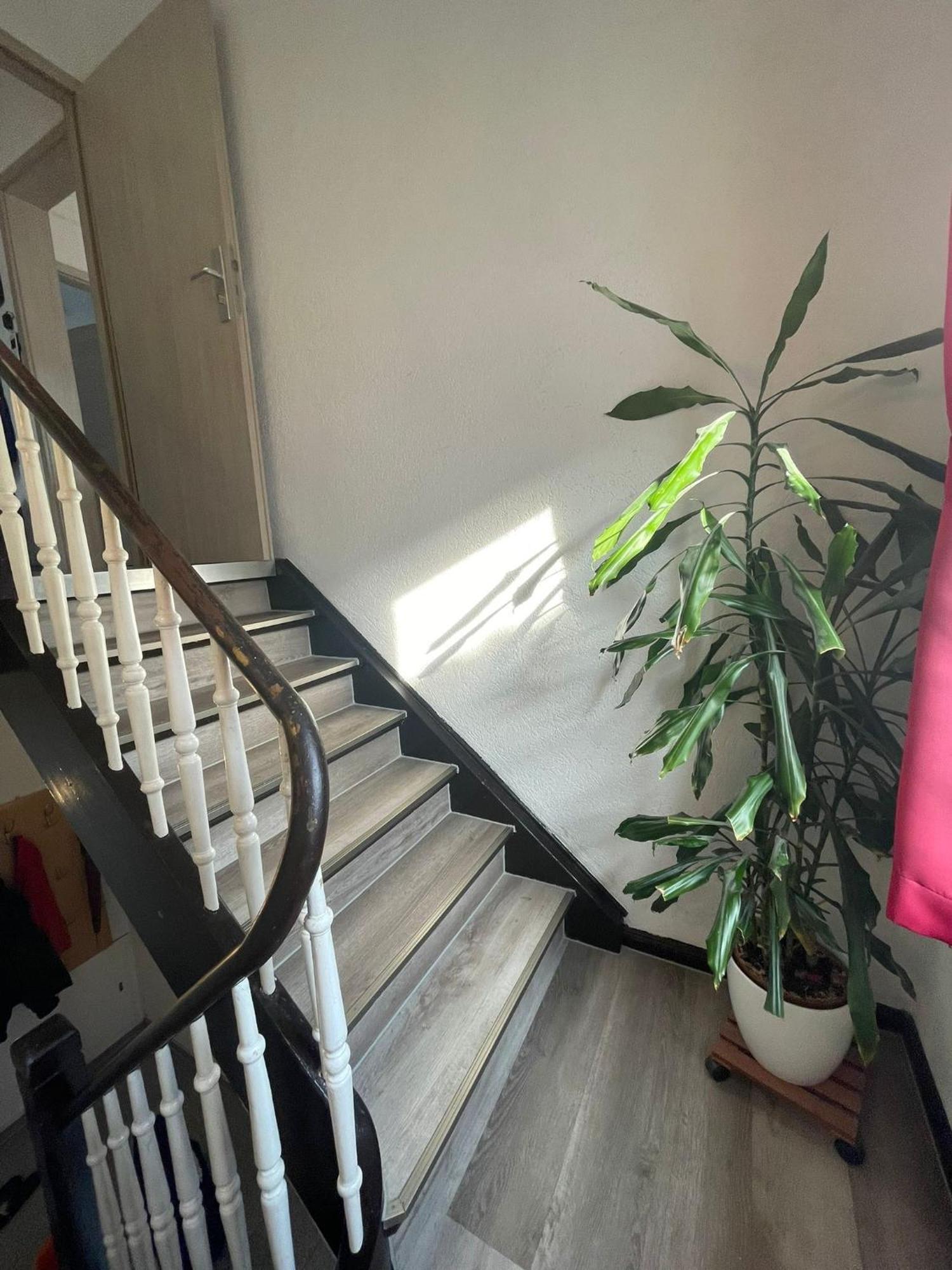 Leo Apartment Zentrum Rüsselsheim Екстериор снимка